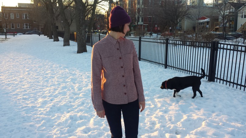 grainline studio archer button up view B