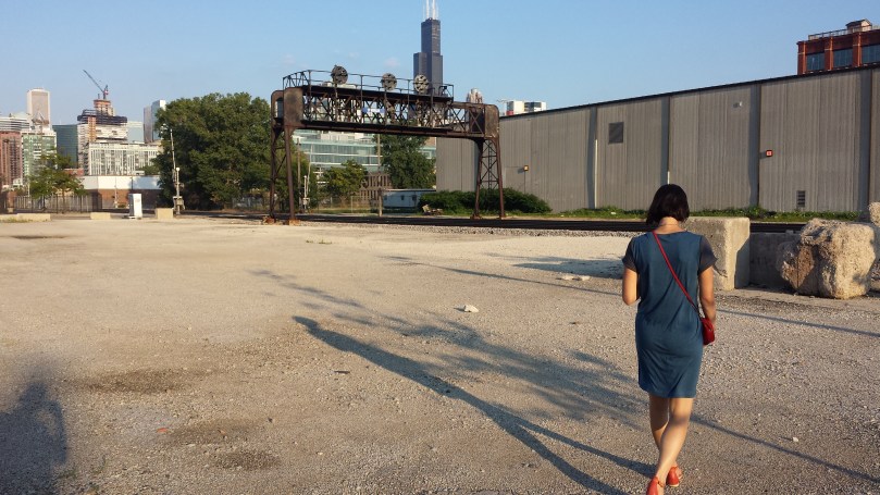 named patterns inari tee dress