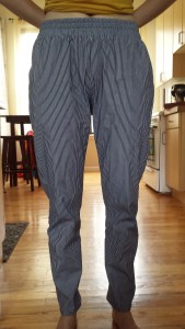 woven hudson pants beofre