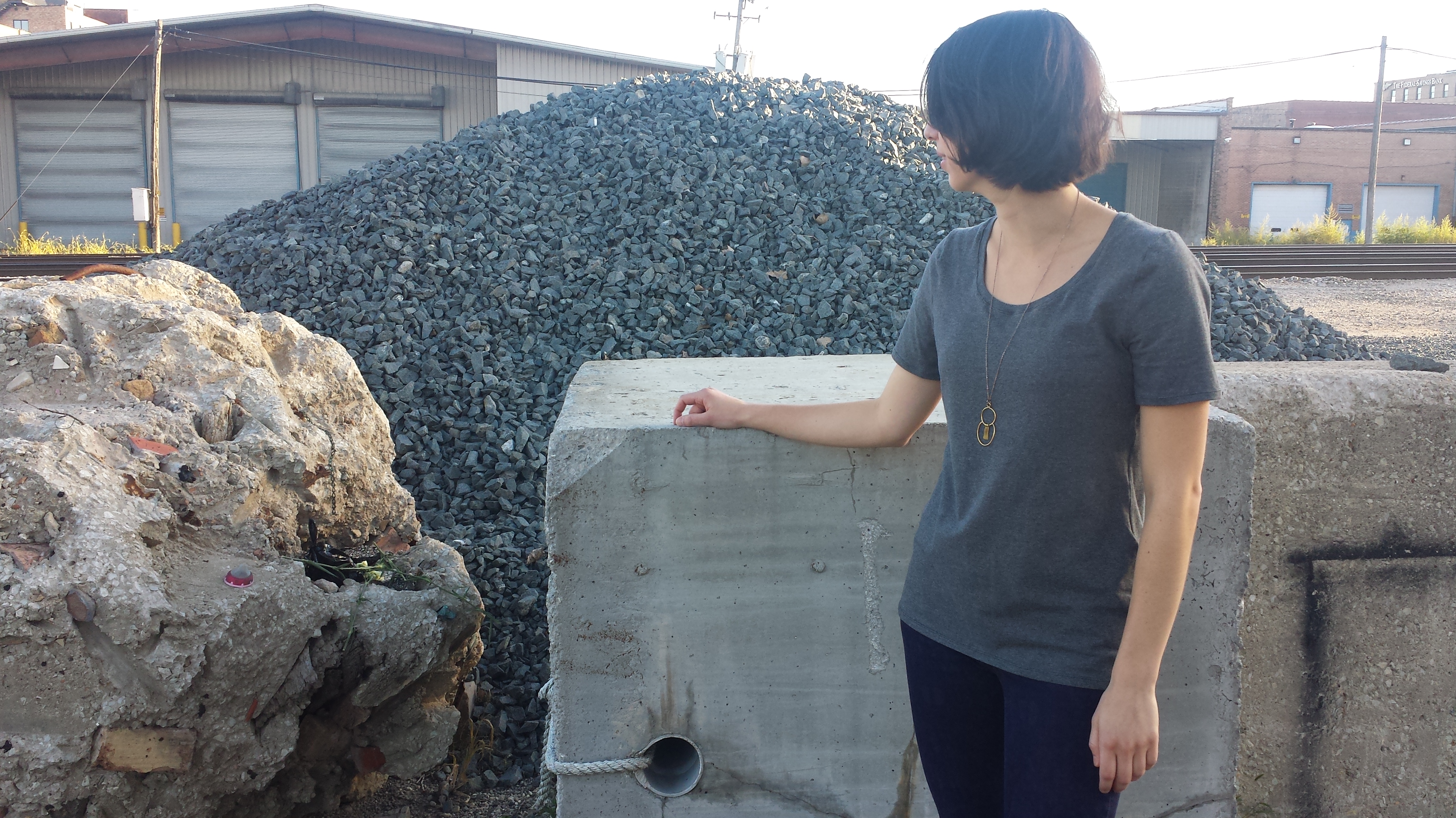 short sleeve lark tee grainline studio